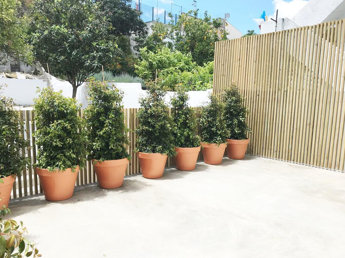 Cozy Lisbon Graca Apartment Ngoại thất bức ảnh