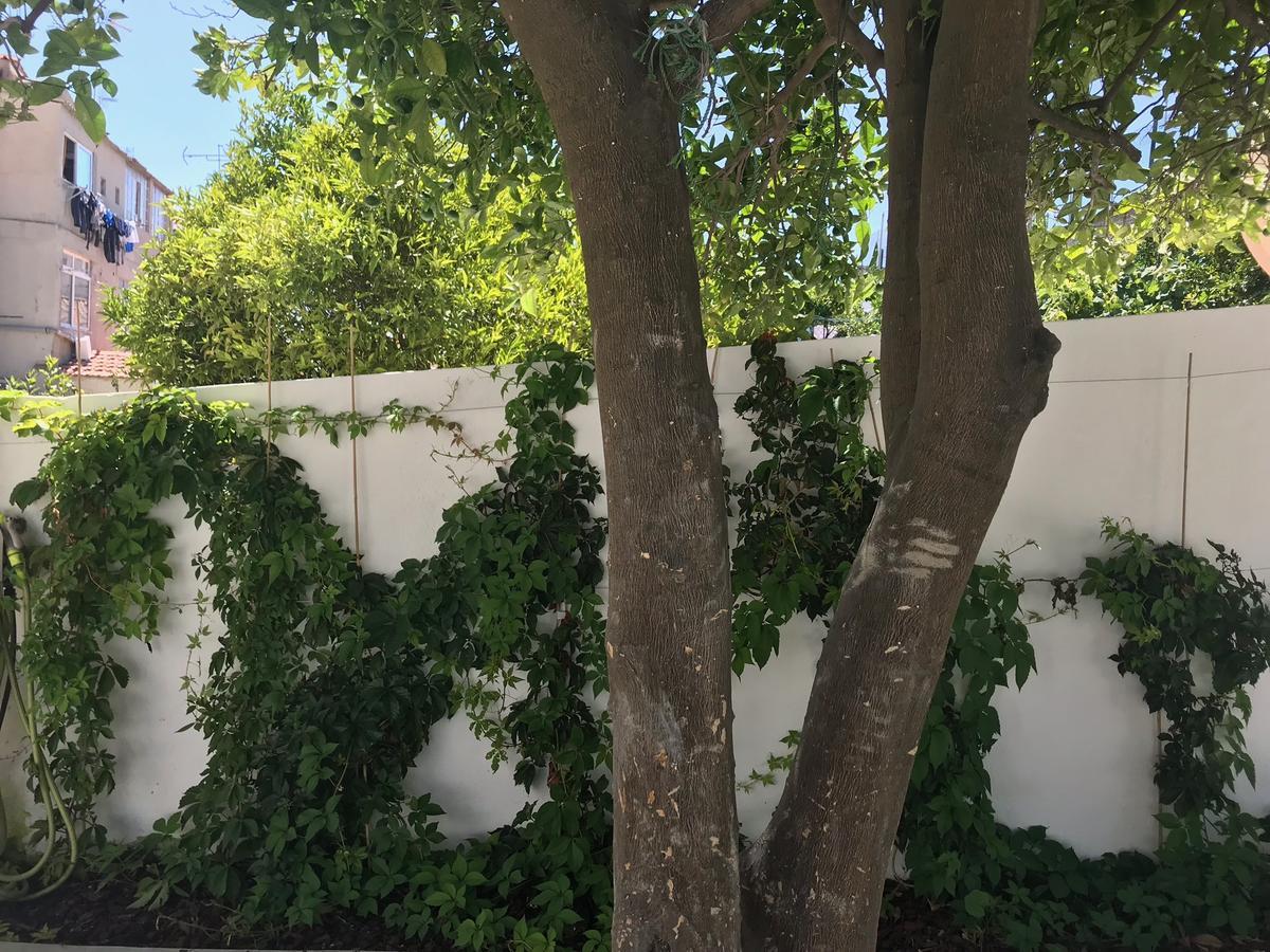 Cozy Lisbon Graca Apartment Ngoại thất bức ảnh